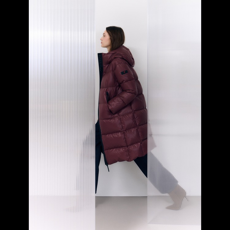 [POP-UP]
페트레이 이미지